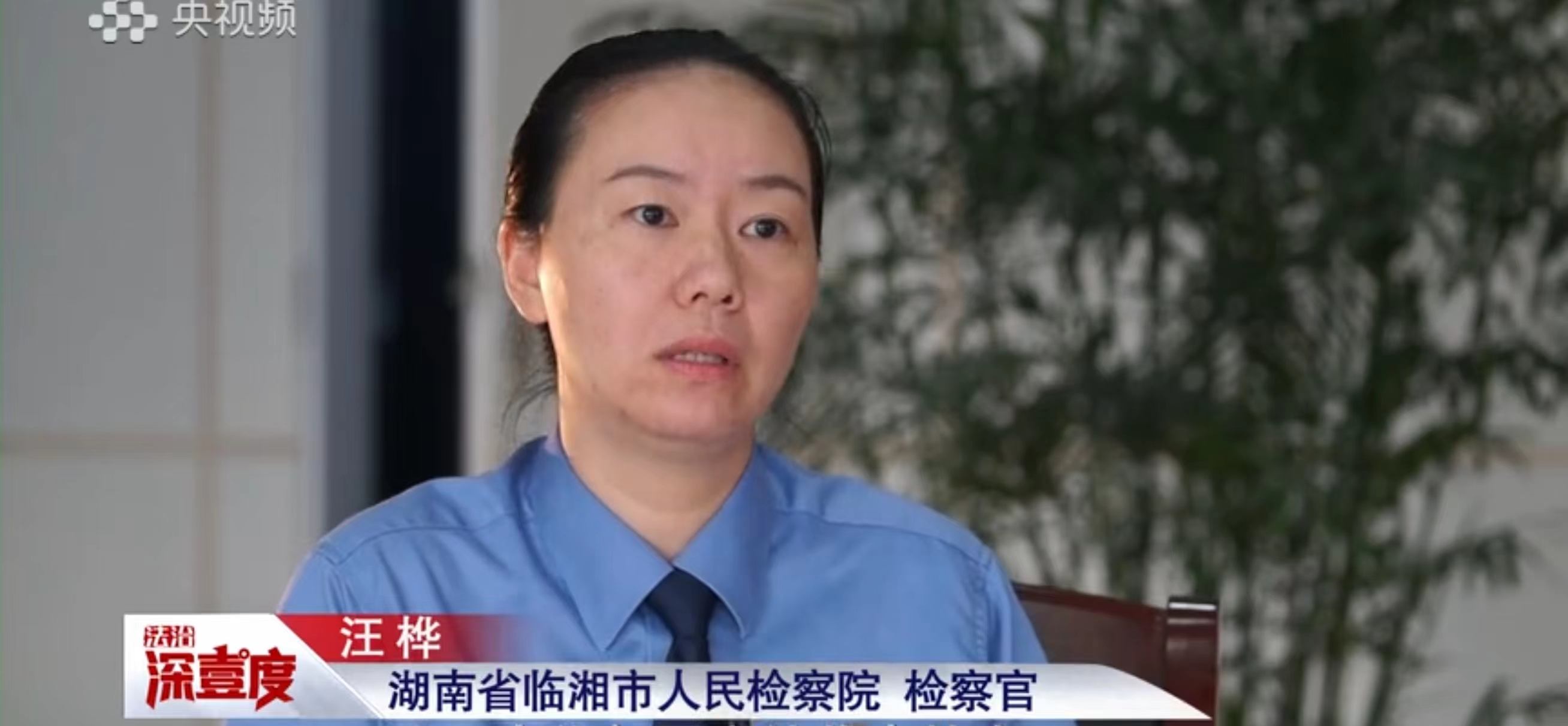 CCTV12深度解析临湘检察院与临湘法院共同办理的典型案例