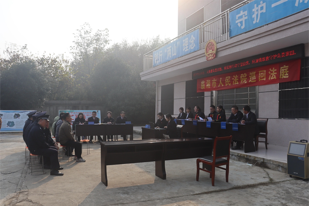“巡回法庭”进基层 以案释法护生态